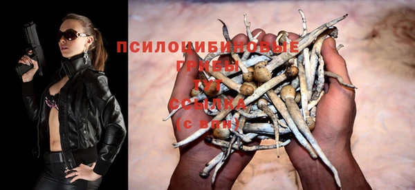 дмт Корсаков