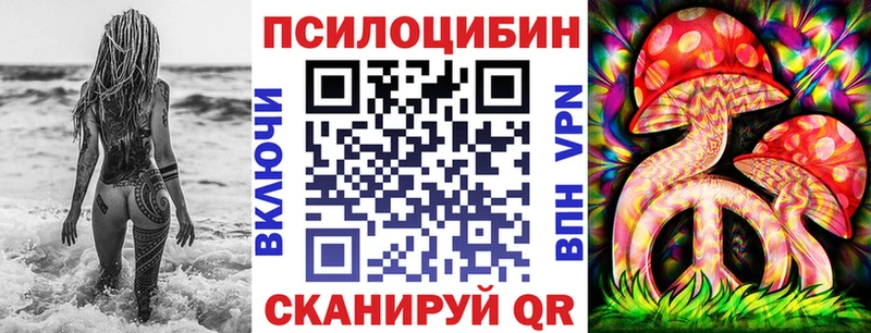 Купить где  Апшеронск  Псилоцибиновые грибы Psilocybine cubensis 